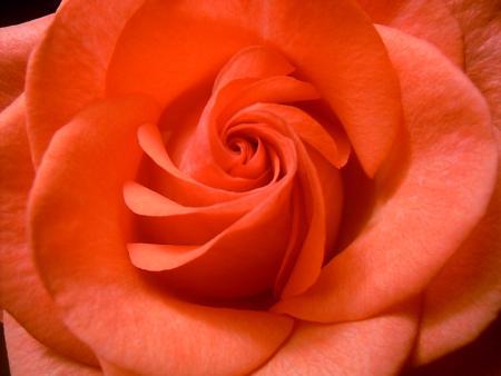 ................................